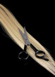 Foto: Shiny blond hair and hair cutting shears isolated on black Shiny blond hair and hair cutting shears isolated on black