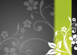 Vector: floral vector template floral vector template