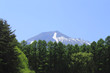 岩手山と新緑