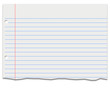 Notebook paper