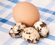 quail and chicken eggs on rustic cloth frame