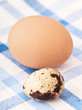 quail and chicken eggs on rustic cloth frame