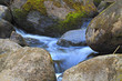 Spring floating through the stones.
