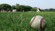Baseball Field Scene