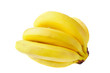 Branch fresh bananas Branch fresh bananas