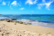 spiaggia selvaggia