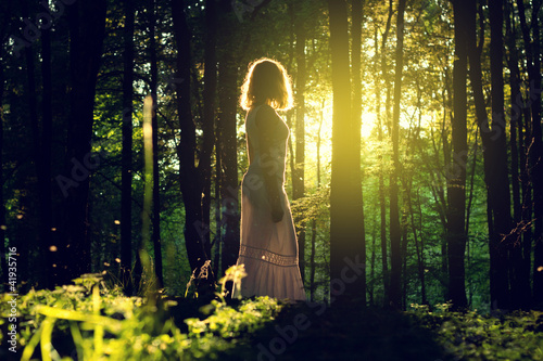 Photo: In the Forest In the Forest