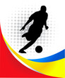 soccer player