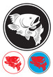 koi fish