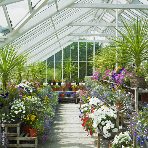Photo: greenhouse, Birr Castle Gardens, County Offaly, Ireland greenhouse, Birr Castle Gardens, County Offaly, Ireland