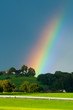 Rainbow over the forest