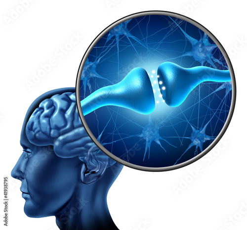 Illustrazione: Human Nerve Cell Synapse Receptor Human Nerve Cell Synapse Receptor