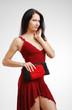 Pretty woman with a handbag.