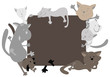 Cats around the frame Cats around the frame