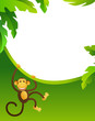 Frame with monkey Frame with monkey