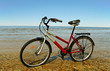 Bike at the sea.