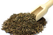 roasted green tea