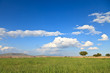 Green field and blue sky, Turkey