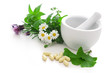 Alternative Medicine