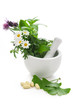 Alternative Medicine