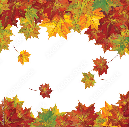Vector: Vector of autumn colorful leaves. Vector of autumn colorful leaves.