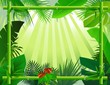 beautiful forest background