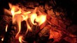 feuer