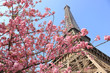 Paris in springtime, Eiffel tower