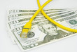 Lan cable with dollar money