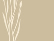plant silhouette on brown background plant silhouette on brown background