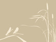 two dragonflies on brown background two dragonflies on brown background