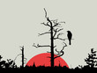 bird on branch amongst wood bird on branch amongst wood