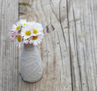 Gänseblümchen auf Holz