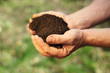 Image of soil in hands
