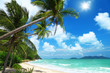 Coconut palms and beach in Thailand Coconut palms and beach in Thailand