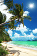 Coconut palms and beach in Thailand
