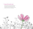Flower  background