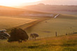 Summer sunrise over English countryside rural landscape