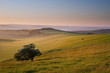 Summer sunrise over English countryside rural landscape