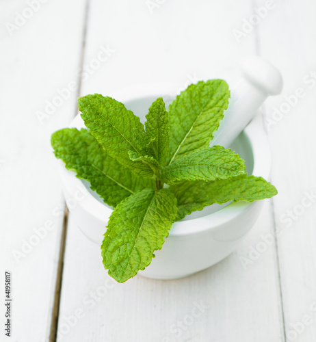 Photo: Some leaves Mint Some leaves Mint