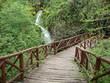 Springs of Naoussa, Central Greece
