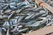 Photo: sardines sardines