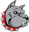 bull dog guard head