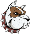 bulldog