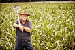 Foto: Vintage Old Farmer in the Corn Fields Vintage Old Farmer in the Corn Fields