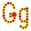 letter of G the English alphabet letter of G the English alphabet