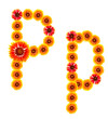 letter of letter of