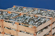 Photo: pallet of sardines pallet of sardines