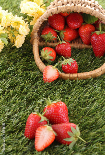 Photo: strawberry strawberry