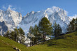 Il Monte Bianco